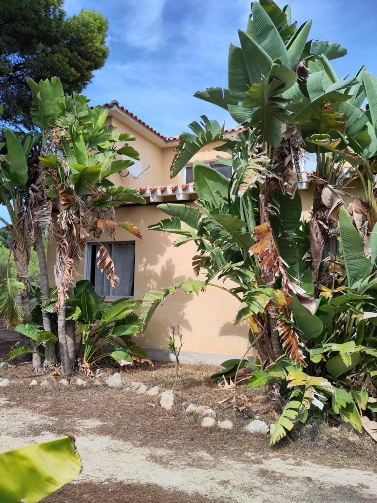 Finca Caracol Bolulla Bagian luar foto
